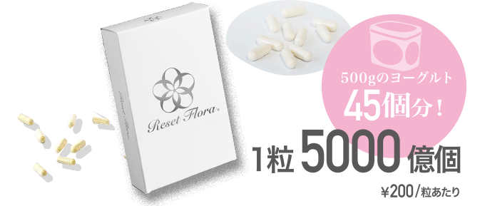 500gのヨーグルト45個分！1粒5000億個　￥200/粒あたり